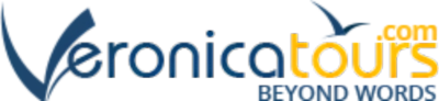 logo (1)